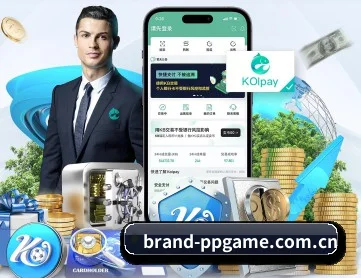 pp电子下载 APP 深度功能